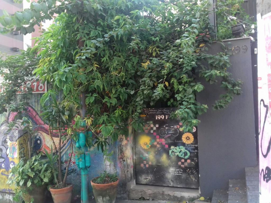 Girassol Hostel Vila Madalena São Paulo Ngoại thất bức ảnh